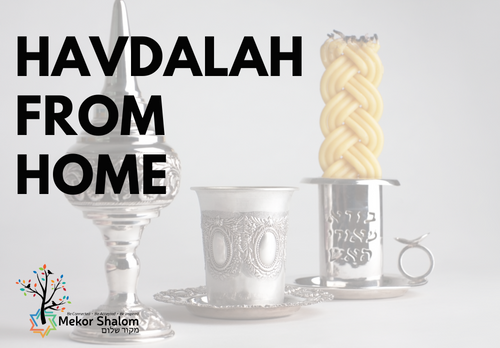 Banner Image for Havdalah from Home