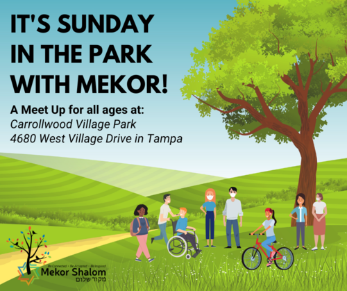 Banner Image for It's Sunday in the Park with Mekor!